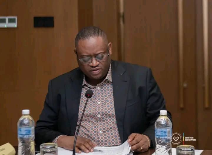 RDC : le Ministre Doudou Fwamba fait le point sur le Budget-programme, le FSI et la CNP devant la Commission ECOFIN du Sénat