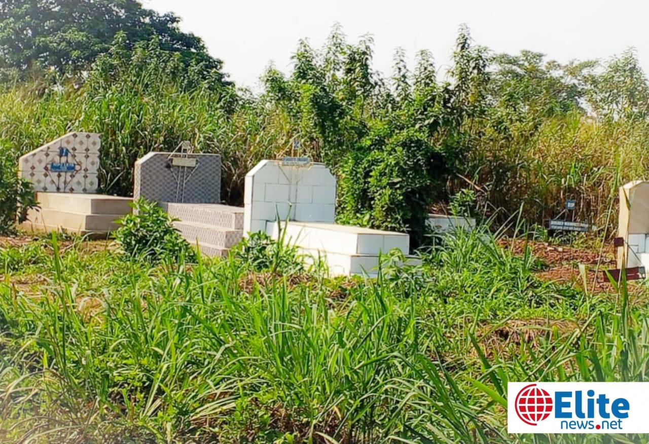 Maï-Ndombe : à Inongo, le cimetière Mputu et Mbili livré aux broussailles, la population dénonce un abandon