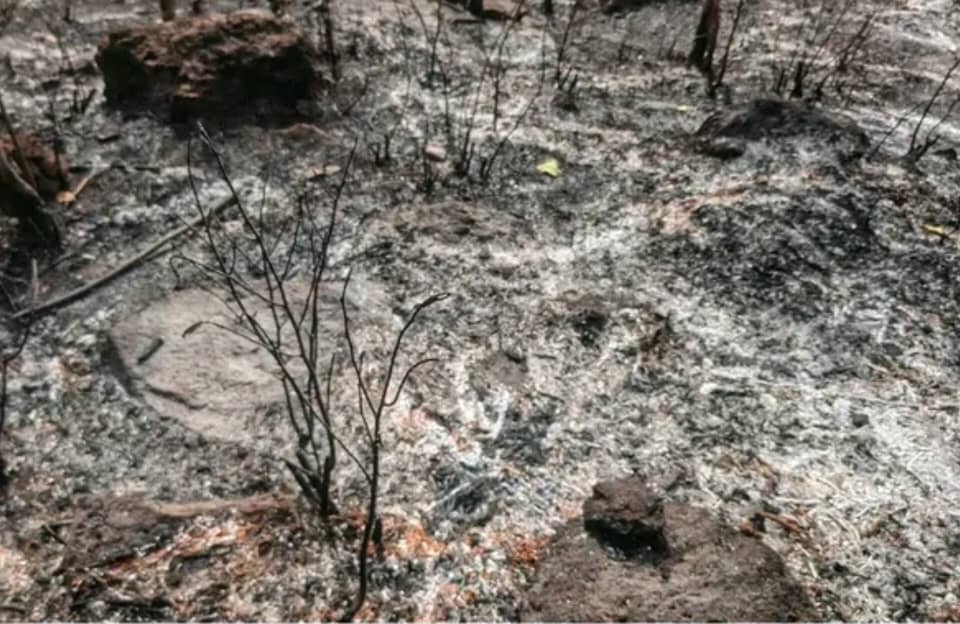 Bagata : trois enfants de moins de 15 ans meurent piégés dans un feu de brousse, un arrêté provincial en souffrance d'application