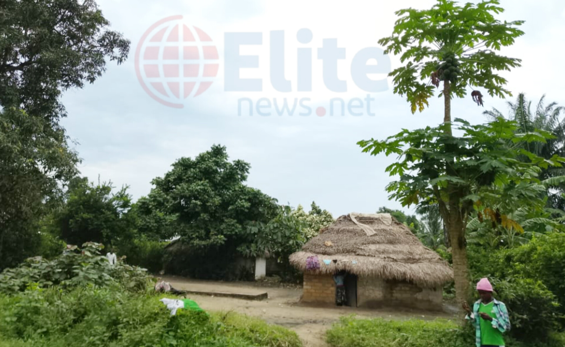 Maï-Ndombe : des villages autour d’Inongo privés de réseau mobile depuis 20 ans, les habitants contraints de grimper aux arbres