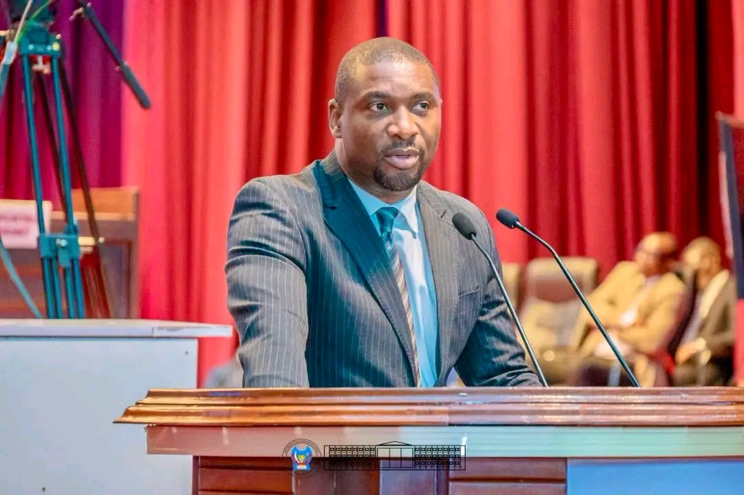 RDC : tensions à l’AFDC-A, Patrick Munyomo accuse Modeste Bahati Lukwebo d' hypocrisie envers le président Tshisekedi