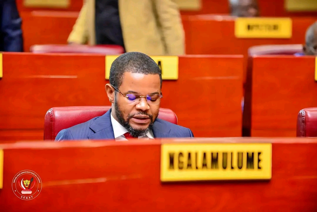 RDC : le sénateur Joseph Ngalamulume interpelle le VPM de la Fonction publique et DG de la SNEL sur les difficultés vécues par la population